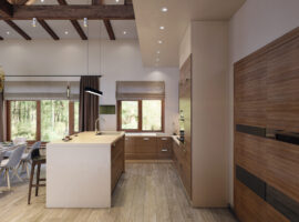 Kitchen - living room